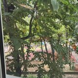 Berceni, Aparatorii Patrei, 4 camere mobilat
